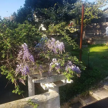 Buena Vista Avec Terrasse Sur Jardin *